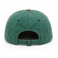 Pigment-Dyed Dad Hat, Back view