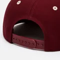 Embroidered-Badge Snapback, Closure detail view