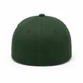 Oxford Cotton Fitted Cap, Back fitted green color reference