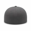 Oxford Cotton Fitted Cap, Back view