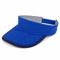 Edge-Binding Visor, Color, variation 1 color reference