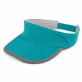 Edge-Binding Visor, Color, variation 2 color reference